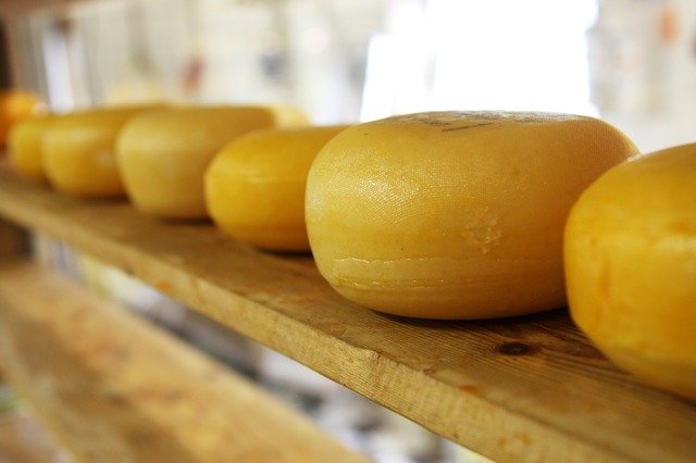 kruhový sýr